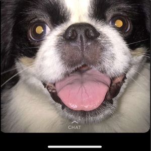 Meet your Posher, Grace